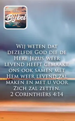 Bible in Dutch offline audio android App screenshot 11