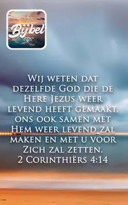 Bible in Dutch offline audio android App screenshot 3