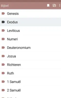 Bible in Dutch offline audio android App screenshot 6